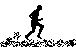 runner.gif (2717 bytes)